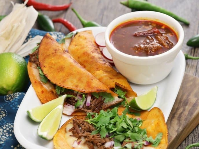 Birria León