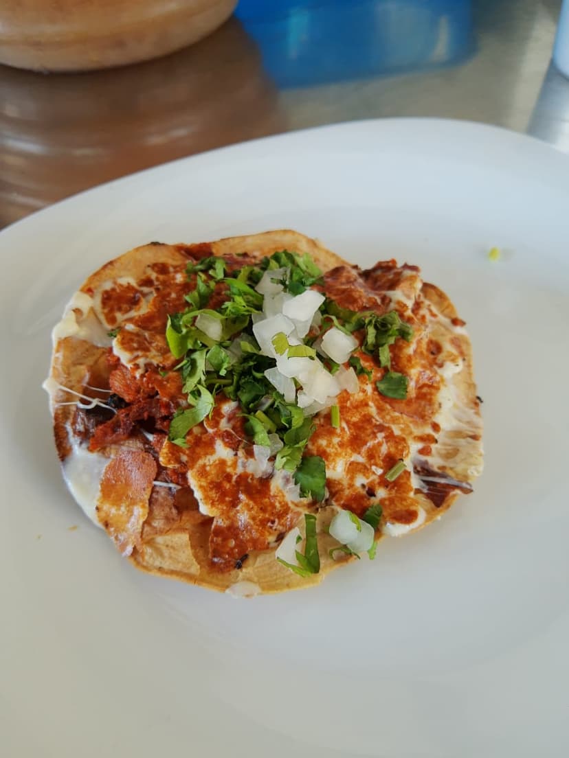 Taco Min Morelia