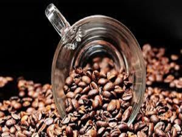 BENDITO CAFÉ (IMSS)