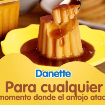 FLAN danette