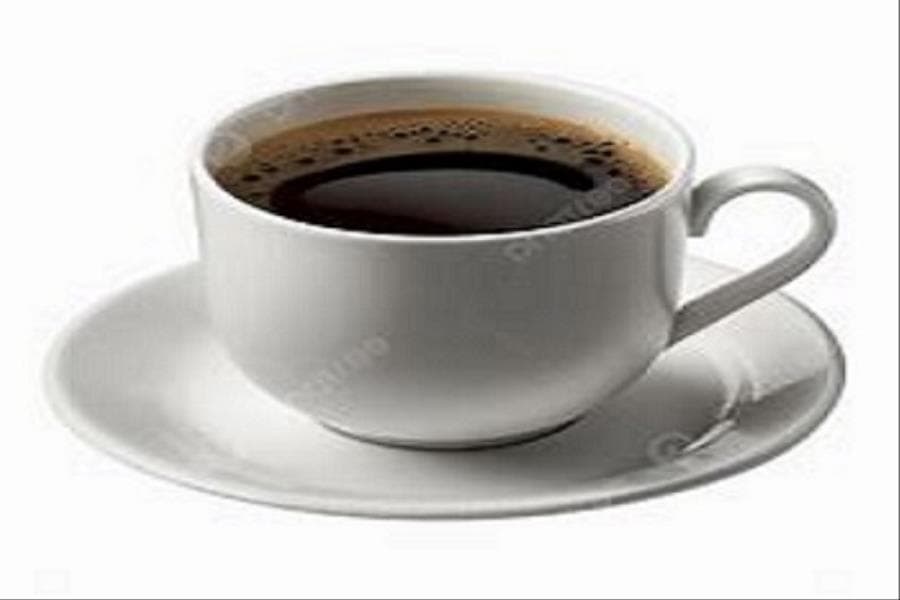 CAFE AMERICANO 16OZ HORECA