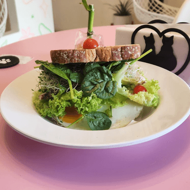 Sandwich Rain Forest (Vegetariano)