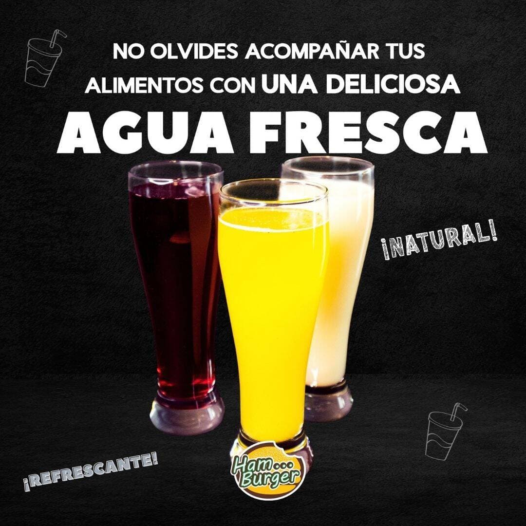 Agua Fresca del Dia 500 ml.