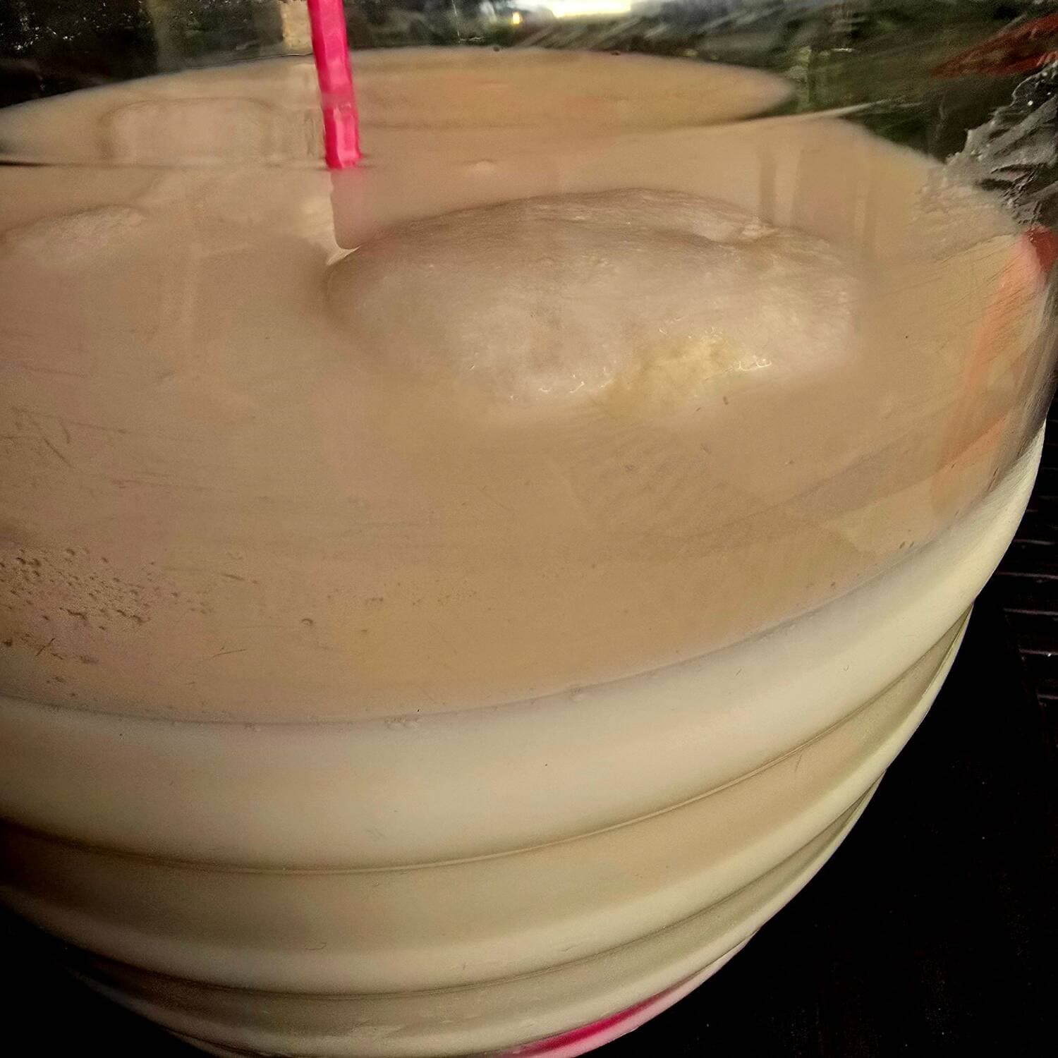 Agua de Horchata