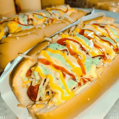 Perro Especial