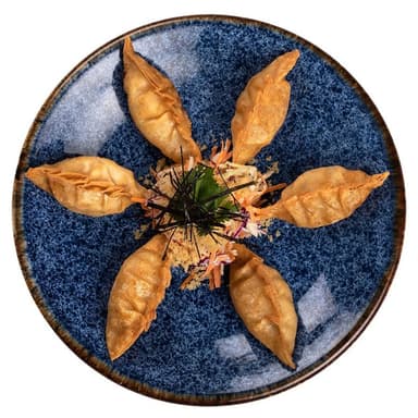 Gyozas al Sarten o Fritas