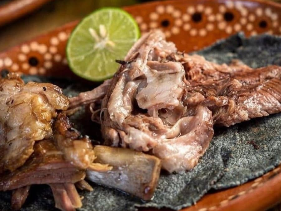 La Penca del Maguey (Suc. Zona Dorada)