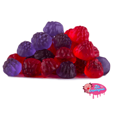 MORITA SIN AZUCAR  100 gr