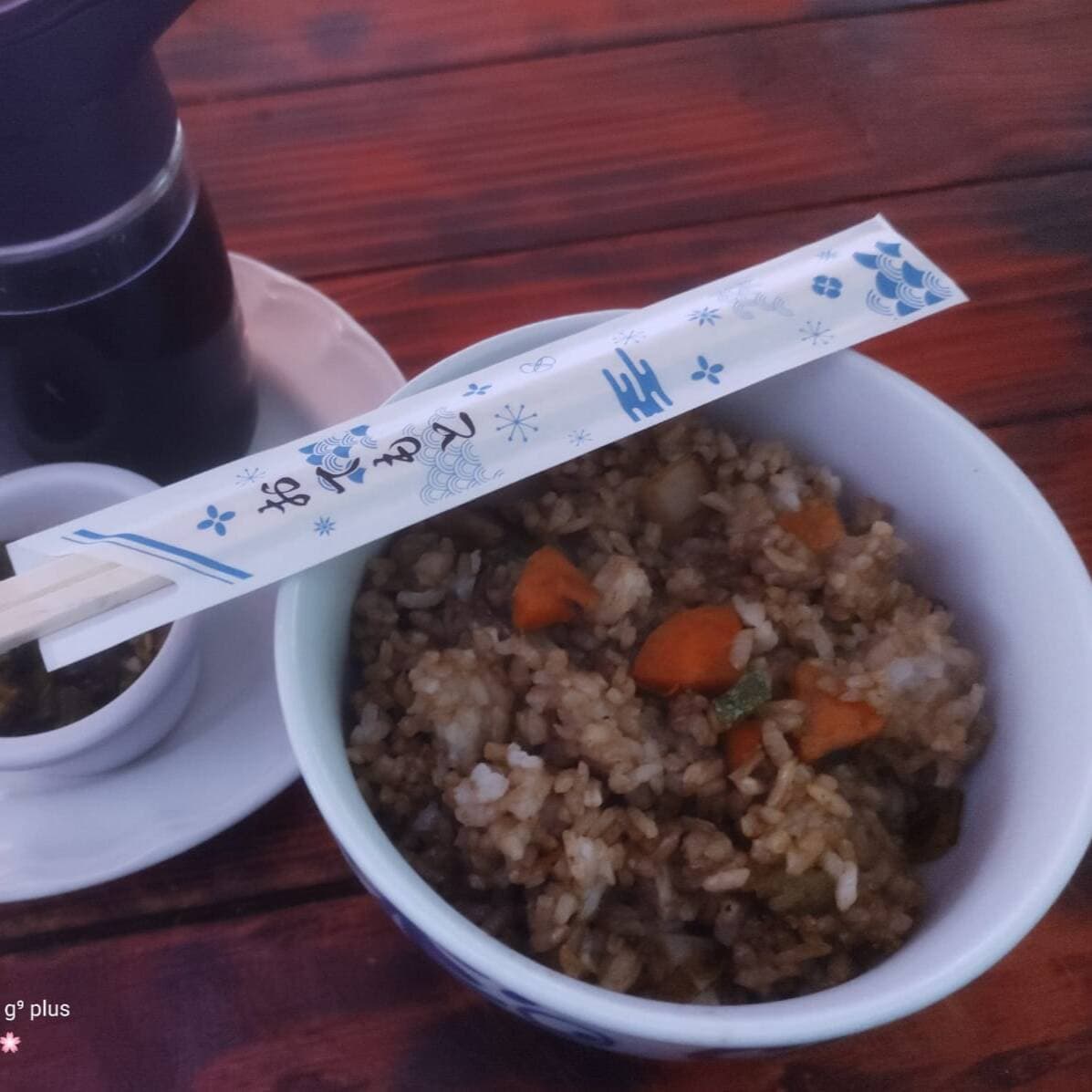 yakimeshi de res