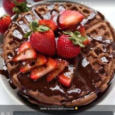WAFFLE AVENA CHOCOLATE
