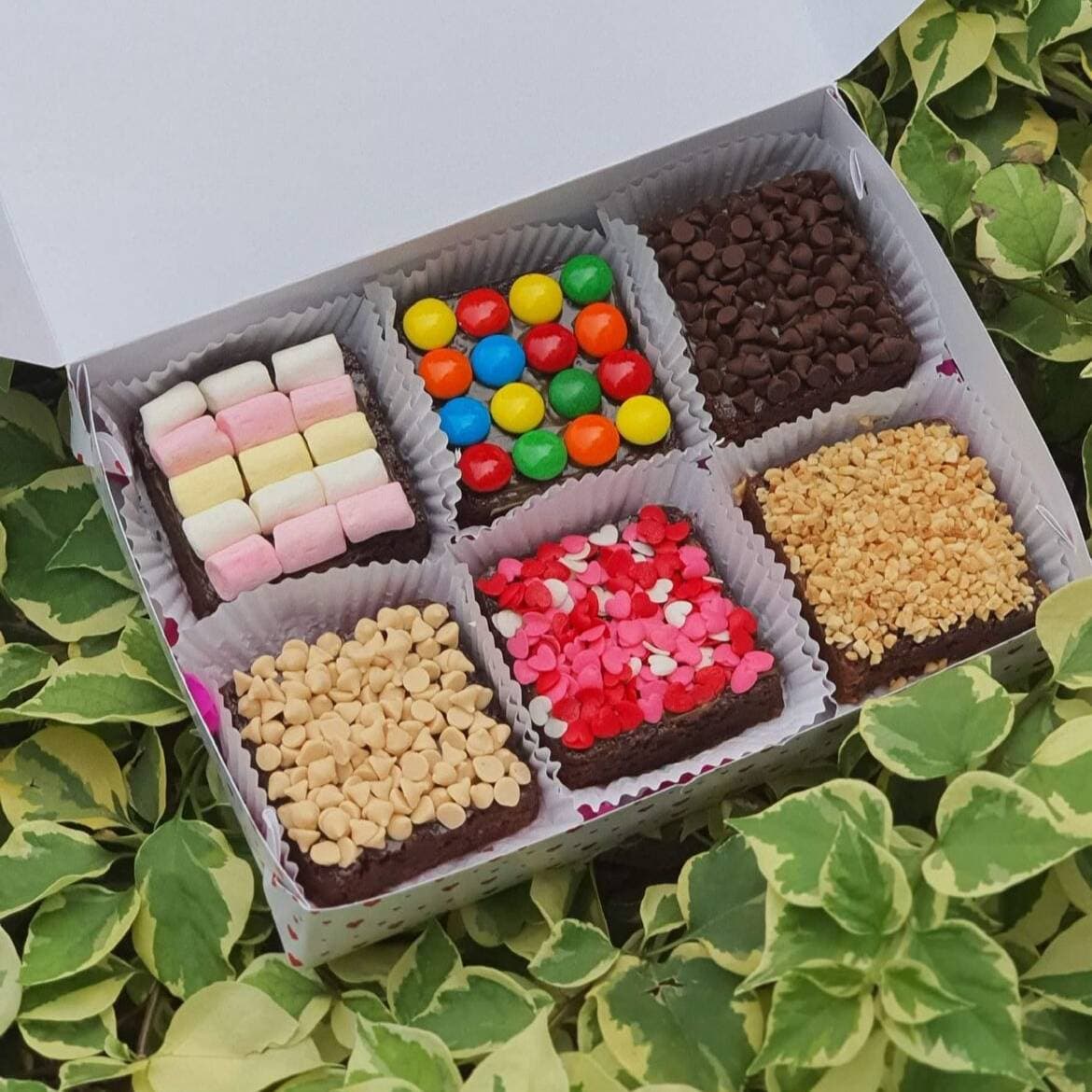 Sweet Box X6
