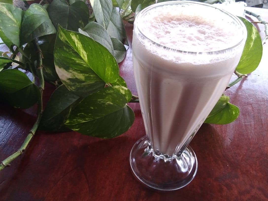 Licuado Adán