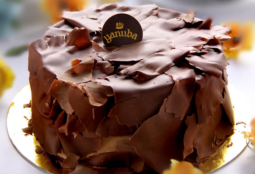Torta arequipe chocolate nueces x5