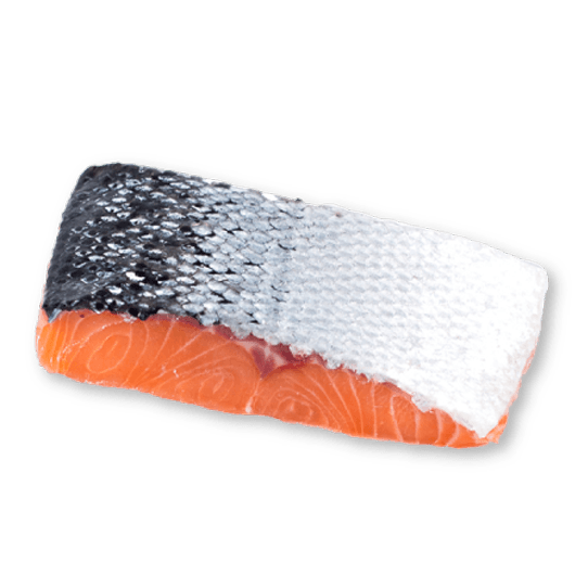 Filete De Salmon