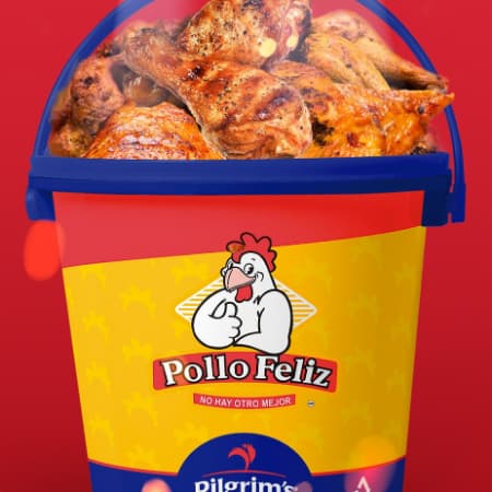 Cubeta 16 Piezas