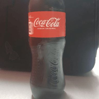 Coca Cola 600 Mililitros