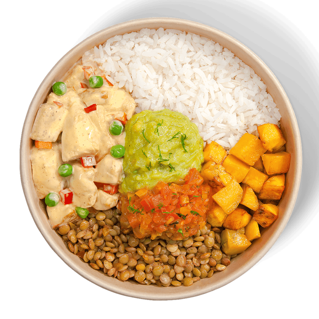 Mega Fricasé de pollo