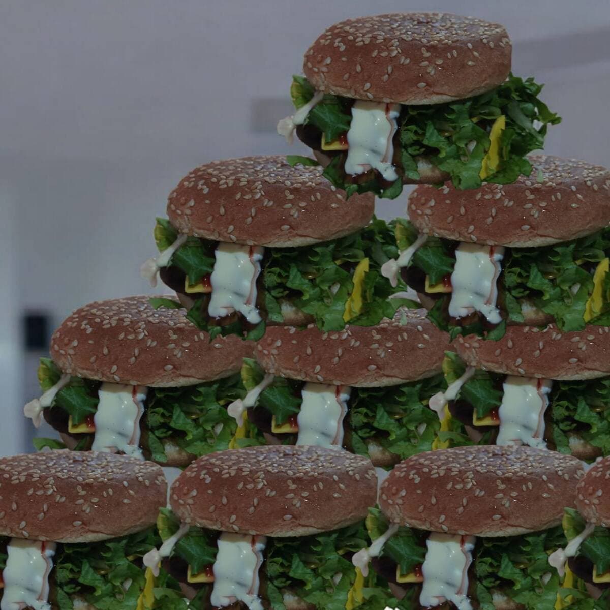 PROMO 10 HAMBURGUESAS + PAPAS FRITAS