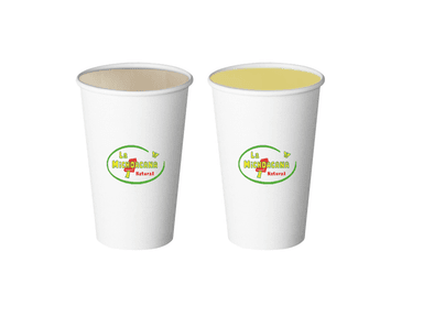Paquete 2 Aguas Frescas (1 Litro)