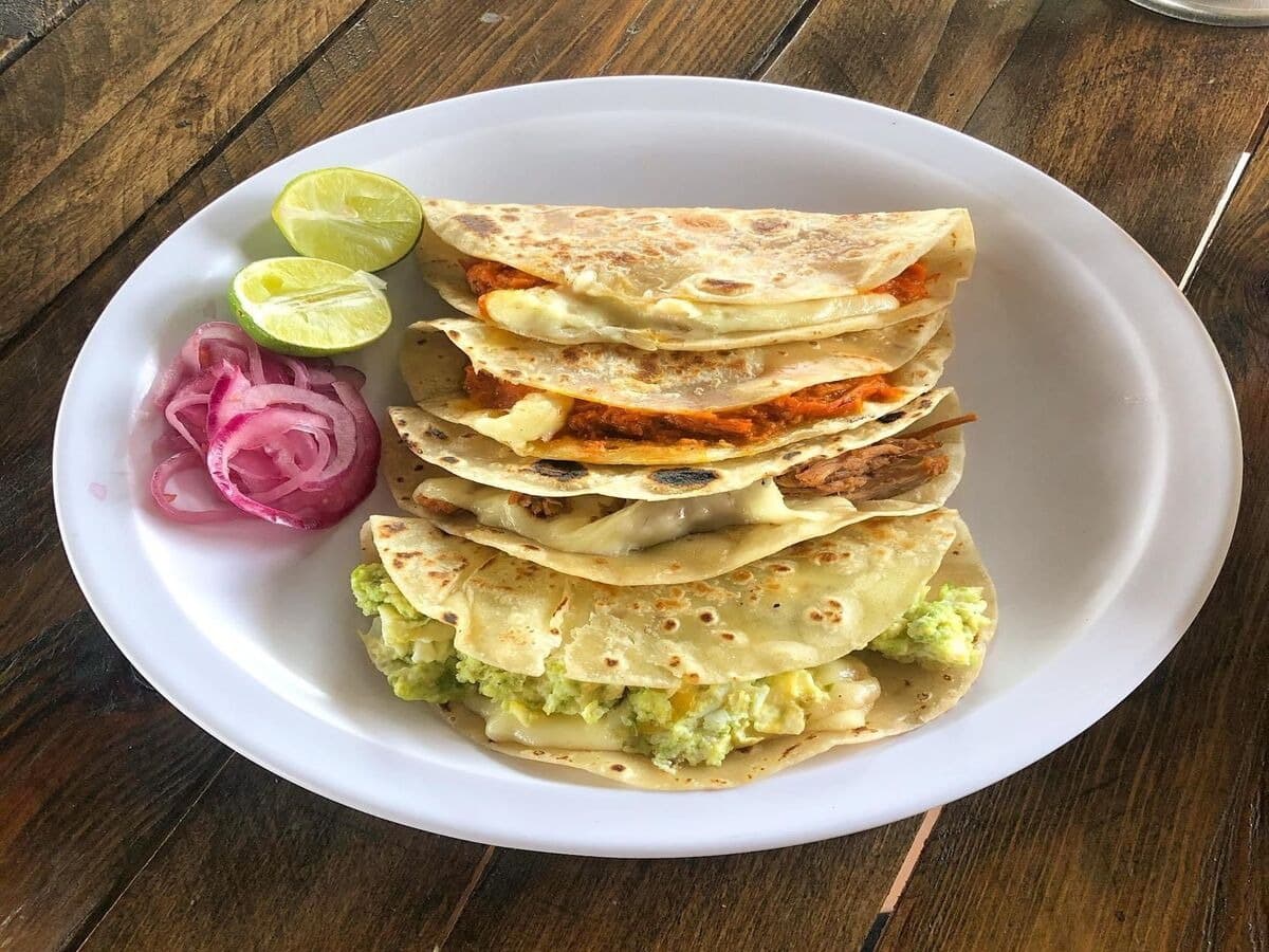 Quesadillas San José Sucursal  17