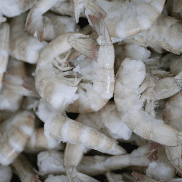 Camaron XL 1/2 kg