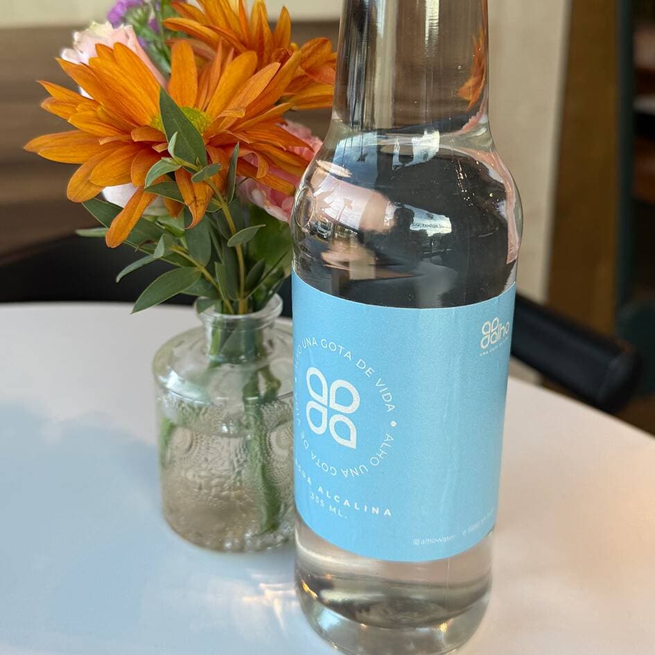Agua Alcalina Botella de 355 Ml