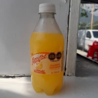 Peñafiel naranjada 355 ml.