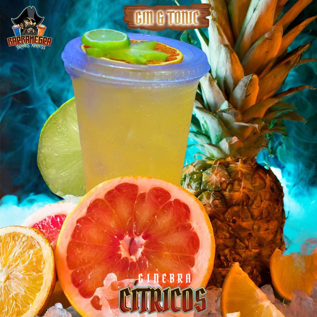 Gin & Tonic Cítricos