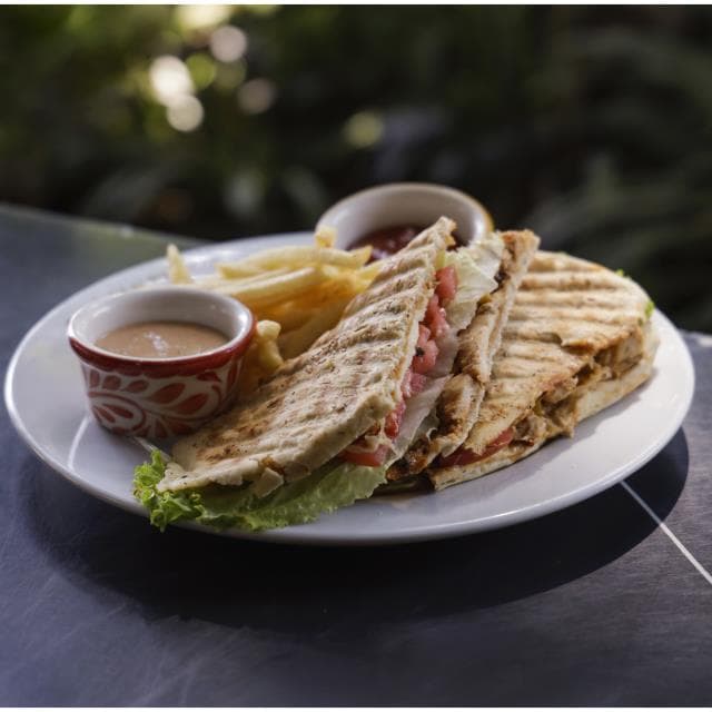 PANINI EL GALLO