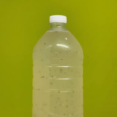 Agua de Limón con Chía 1L
