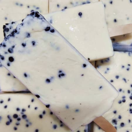 Paleta de Chocochip