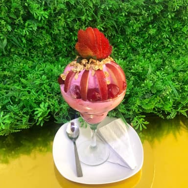 Copa Miami Frutos Rojos