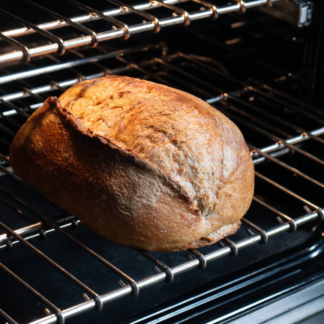 Pan Masa Madre