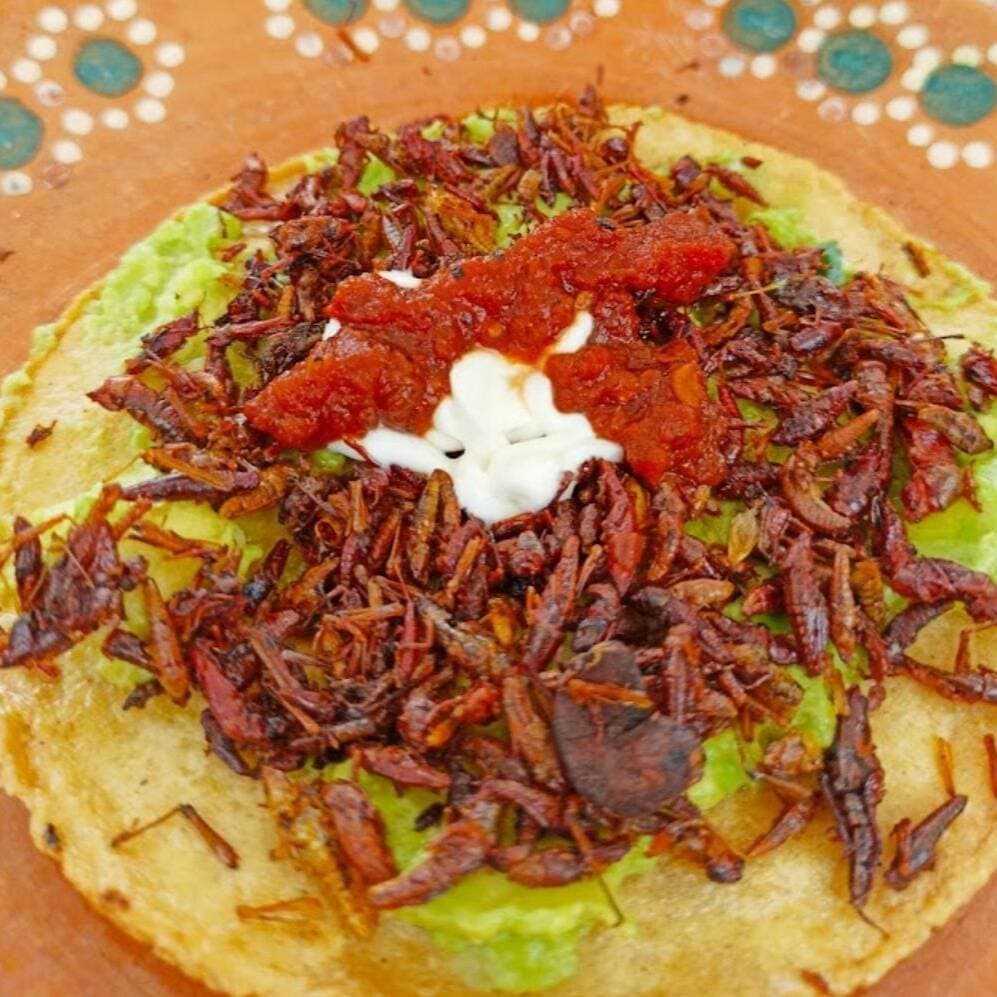 Tostada de Chapulines