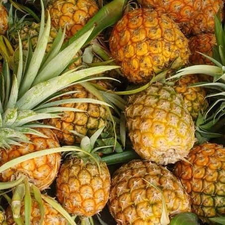Piña