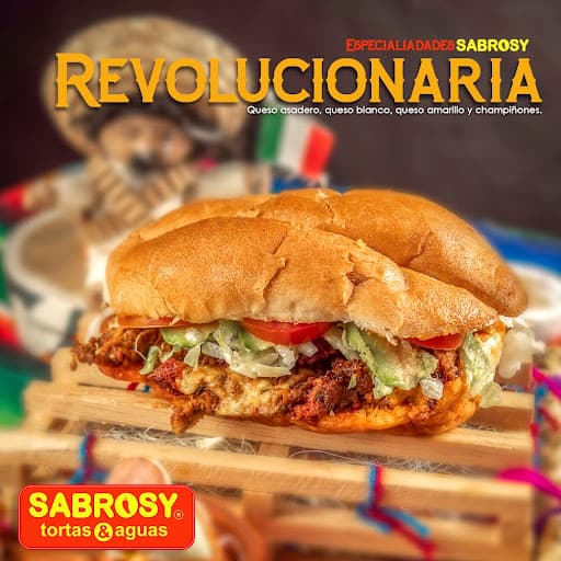 Revolucionaria