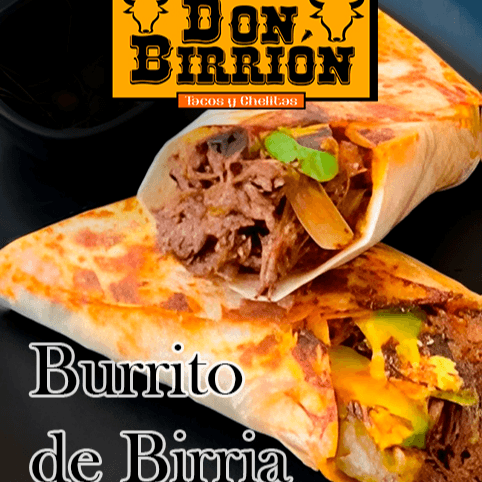 Burrito de Birria 🤑