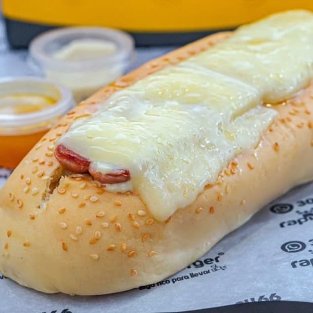 Perro Mini Suizo