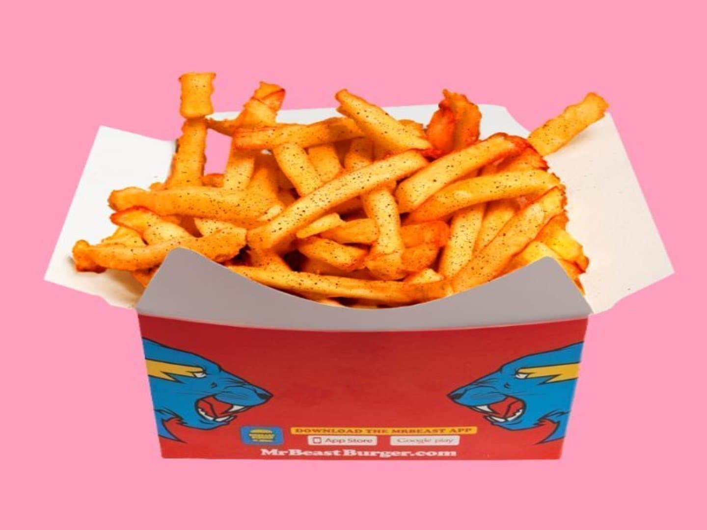 Signature Fries