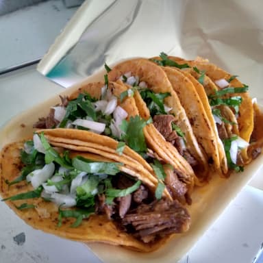 Taco 1 Pz