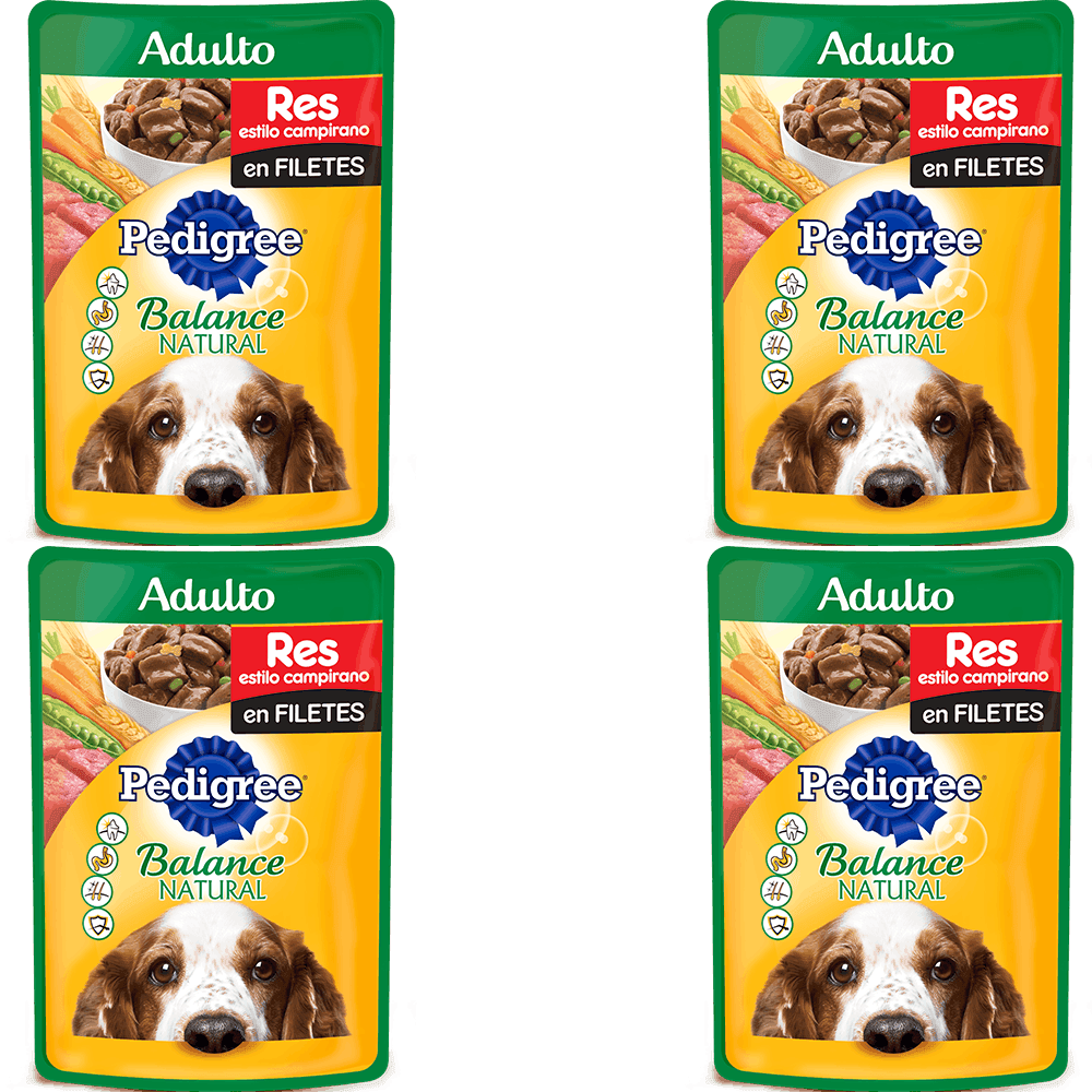 4 ALIMENTO P/PERRO POUCH CARNE JUGOSA 100G