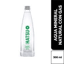 Agua con Gas 300 ml