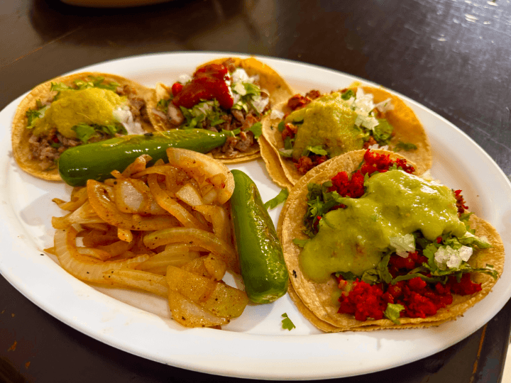 Dr taco
