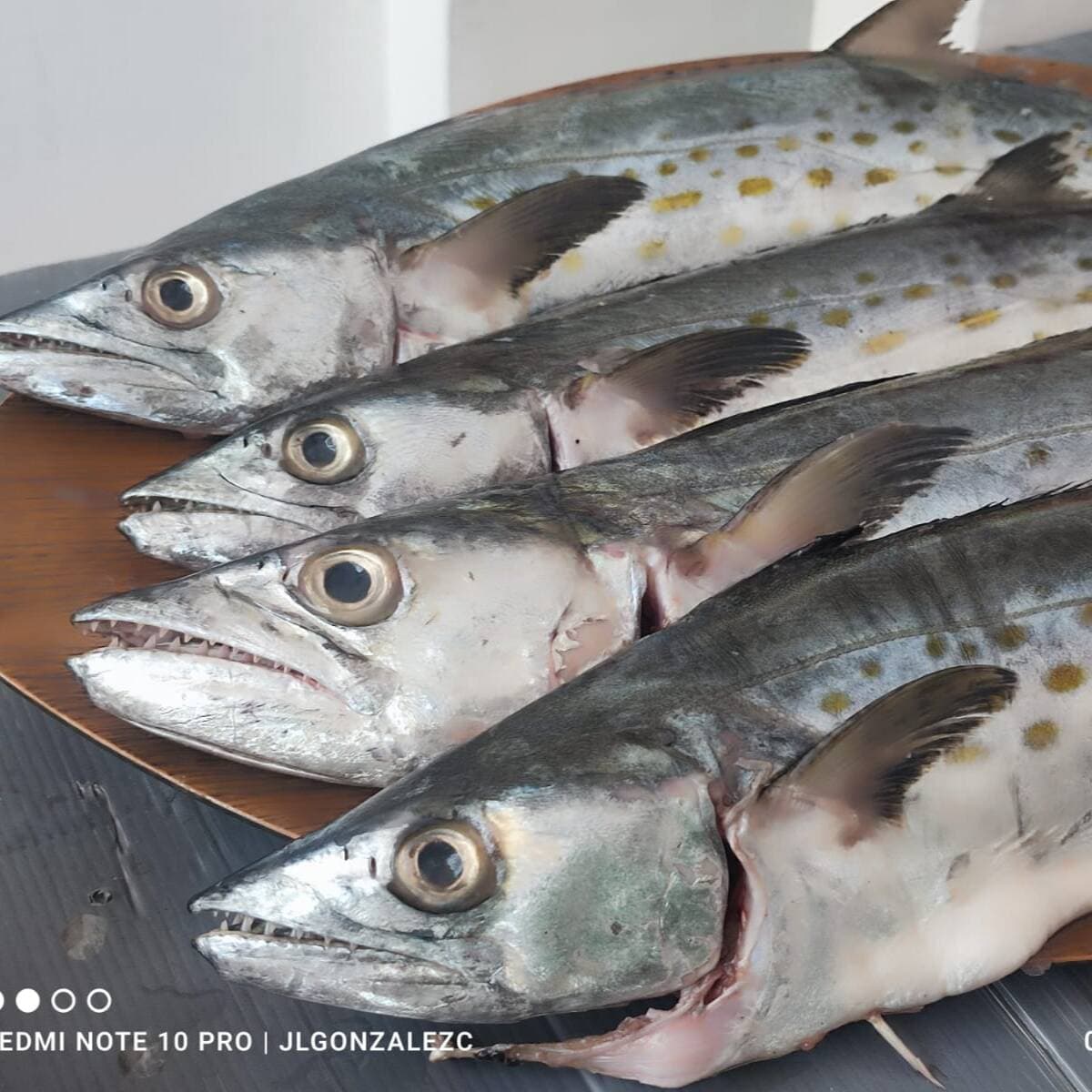 Pescado Sierra Entero Crudo