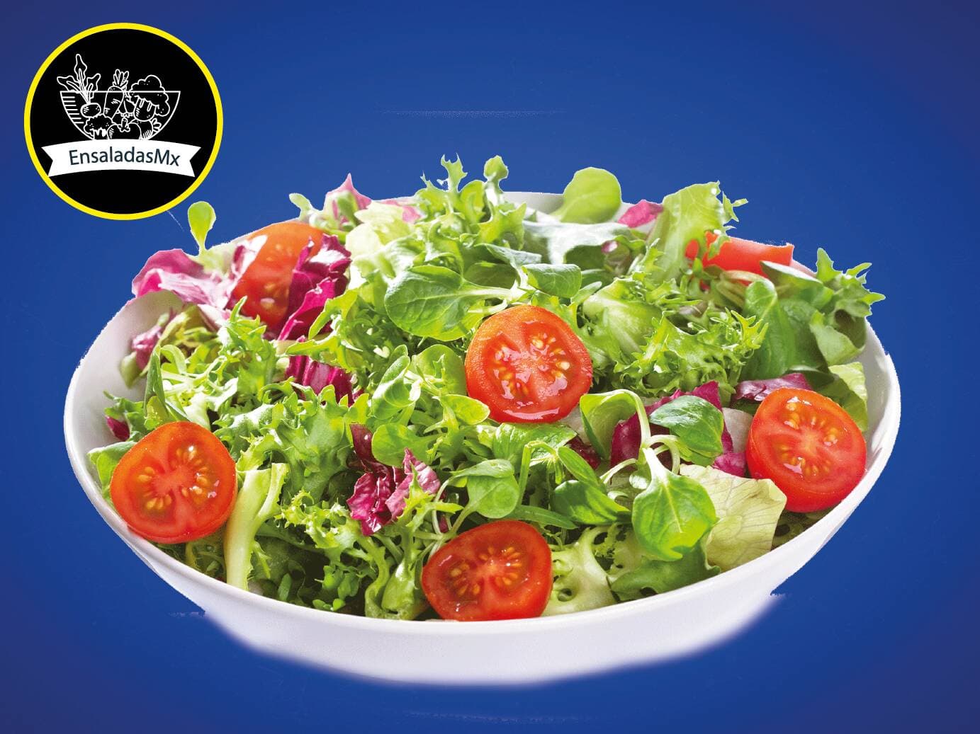 Ensaladas MX
