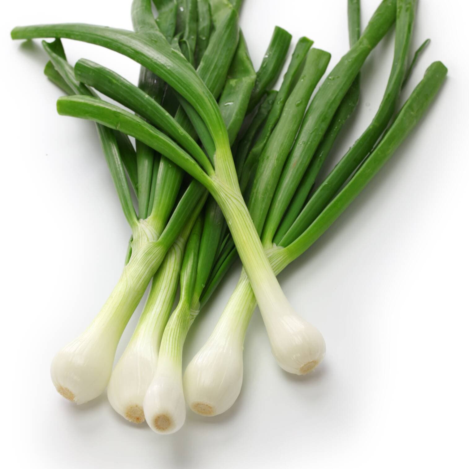 Cebollita Cambray y Mazo