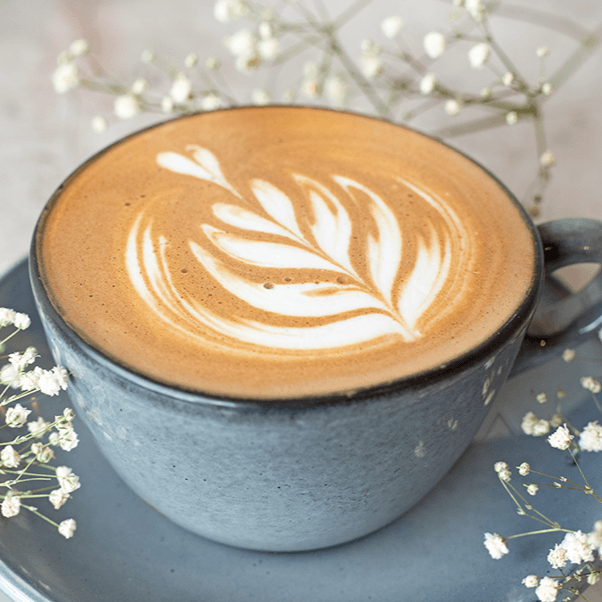 Capuccino