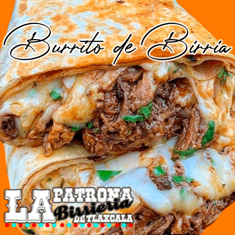 Burrito de Birria