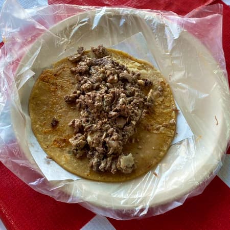Taco de Seso