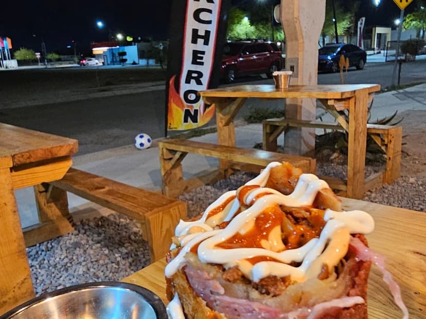 Percherones El Rodeo